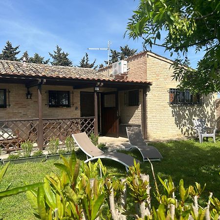 Appartamento La Capparuccia Civitanova Marche Esterno foto