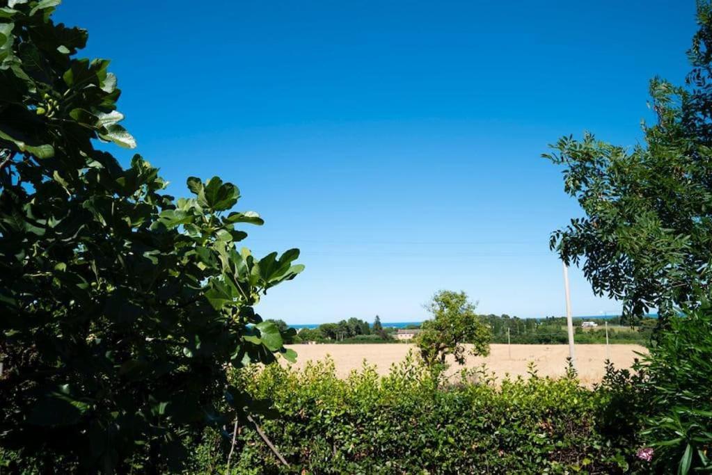 Appartamento La Capparuccia Civitanova Marche Esterno foto