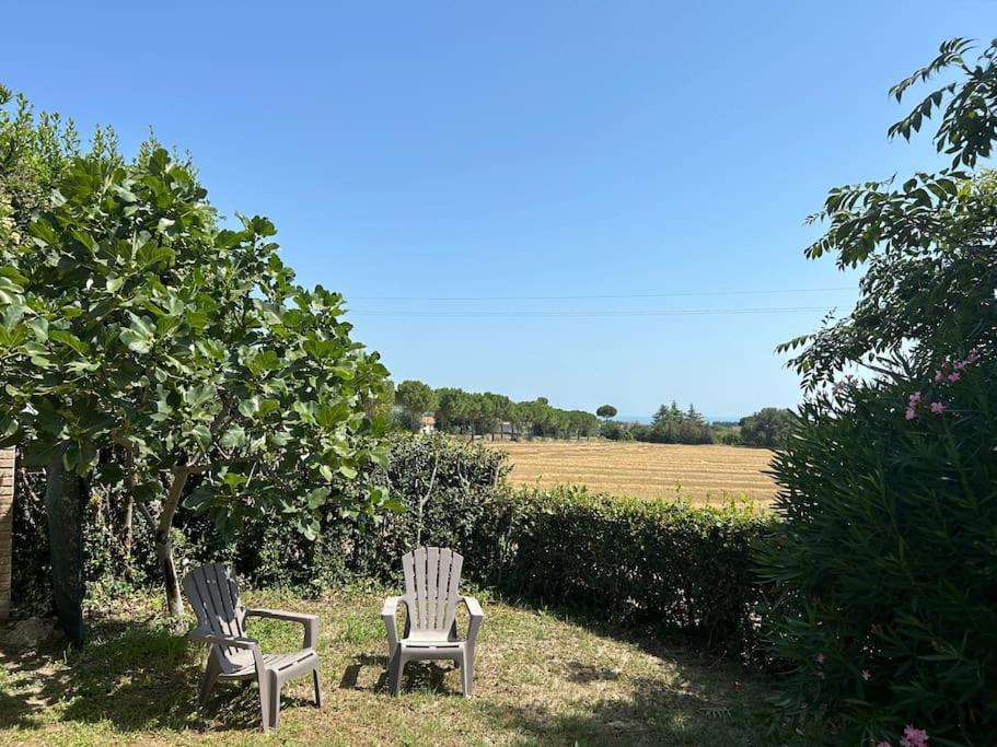 Appartamento La Capparuccia Civitanova Marche Esterno foto