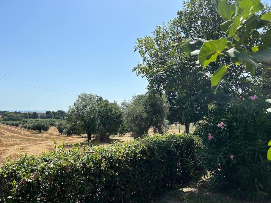 Appartamento La Capparuccia Civitanova Marche Esterno foto