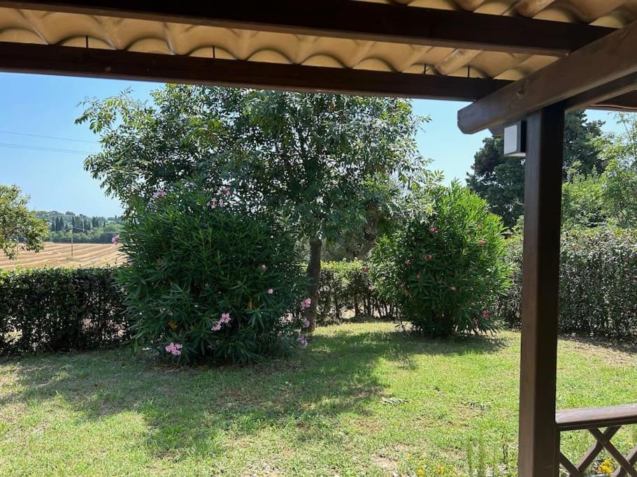 Appartamento La Capparuccia Civitanova Marche Esterno foto